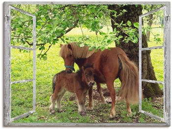 Art-Land Fensterblick Pony mit Kind 60x45cm (44802565-0)