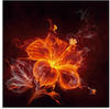 Artland Glasbild »Feuerblume«, Blumen, (1 St.), in verschiedenen Größen