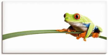 Art-Land Frosch auf einem Blatt 60x30cm (31446920-0)