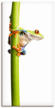 Art-Land Frosch umfasst einen Pflanzenstengel 30x60cm (68868834-0)