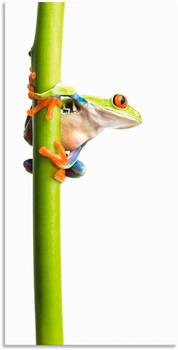 Art-Land Frosch umfasst einen Pflanzenstengel 30x60cm (72078837-0)
