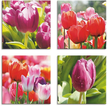 Art-Land Frühling und Tulpen 30x30cm (44041468-0)