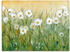 Art-Land Gänseblümchenfrühling II 40x30cm (62908524-0)