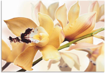 Art-Land Gelbe Orchidee 100x70cm (35971422-0)