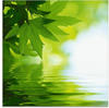 Artland Glasbild »Grüne Blätter reflektieren im Wasser«, Blätter, (1 St.), in