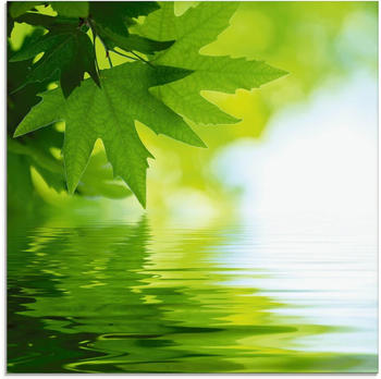Art-Land Grüne Blätter reflektieren im Wasser 30x30cm (81064137-0)