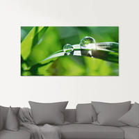 Artland Glasbild "Gr&uuml;ner Hintergrund mit Gras" Gr&auml;ser 1 Stk. tlg. in...