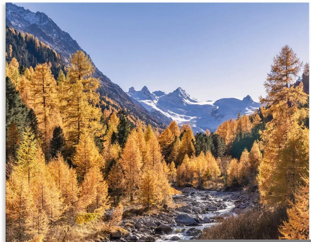 Art-Land Herbst im Oberengadin 60x90cm (64458238-0) Test Black Friday Deals  TOP Angebote ab 108,86 € (November 2023)