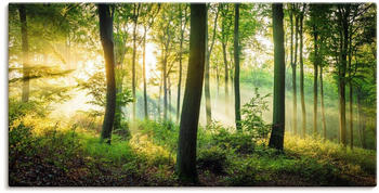 Art-Land Herbst im Wald II 100x50cm (39063447-0)