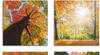 Art-Land Herbst Wald Panoramas 30x30cm (62293522-0)
