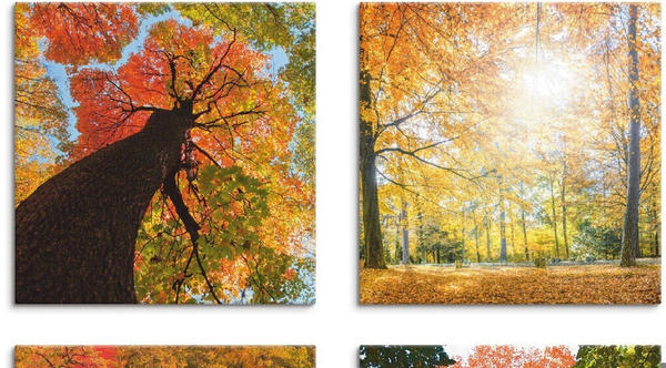 Art-Land Herbst Wald Panoramas 30x30cm (62293522-0)
