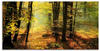 Art-Land Herbstlicht im Wald 60x30cm (99687559-0)