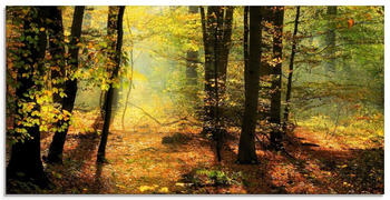 Art-Land Herbstlicht im Wald 60x30cm (99687559-0)