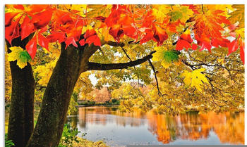 Art-Land Herbsttag an einem ruhigen See 60x45cm (28400031-0)