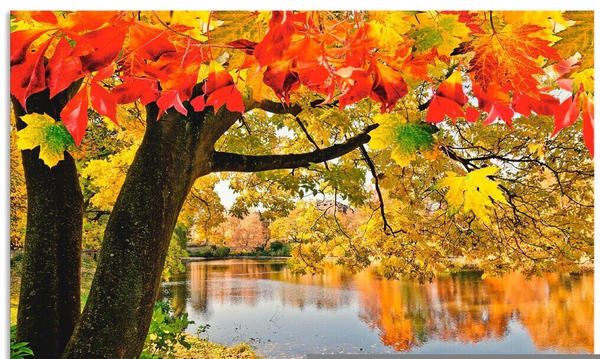 Art-Land Herbsttag an einem ruhigen See 60x45cm (28400031-0)