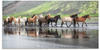 Art-Land Isländische Pferde XIV 60x30cm (67009920-0)