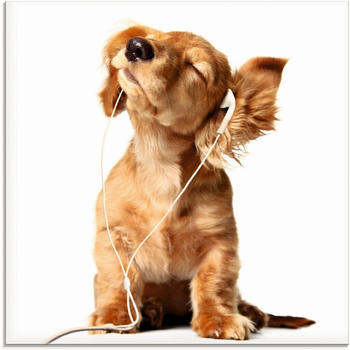 Art-Land Junger Hund hört Musik über Kopfhörer 50x50cm (32317451-0)