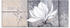 Art-Land Klassische Magnolie 125x50cm (38247749-0)