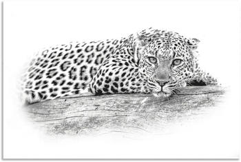 Art-Land Leopard High Key Optik 60x40cm (16394505-0)