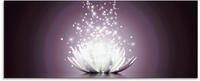 Artland Glasbild "Magie der Lotus-Blume" Blumen 1 Stk. tlg.