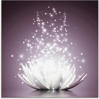 Artland Glasbild "Magie der Lotus-Blume" Blumen 1 Stk. tlg.