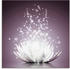 Art-Land Magie der Lotus-Blume 50x50cm (41456349-0)