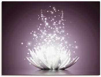 Art-Land Magie der Lotus-Blume 80x60cm (69618951-0)