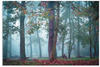 Art-Land Nebel im Wald 30x20cm (28303539-0)