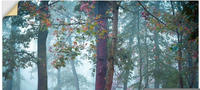 Art-Land Nebel im Wald 90x60cm (84487650-0)