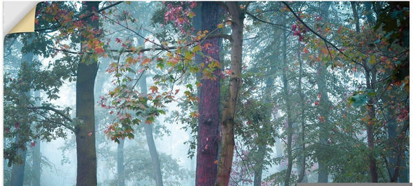 Art-Land Nebel im Wald 90x60cm (84487650-0)