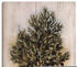 Art-Land Olivenbaum mit Holzoptik 50x100cm (28572539-0)