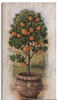 Artland Leinwandbild »Orangenbaum mit Holzoptik«, Bäume, (1 St.), auf Keilrahmen