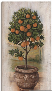 Art-Land Orangenbaum mit Holzoptik 50x100cm (32096021-0)