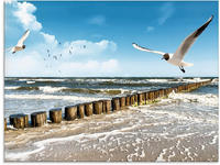 Artland Glasbild "Ostsee" Gew&auml;sser 1 Stk. tlg. in verschiedenen Gr&ouml;&szlig;en