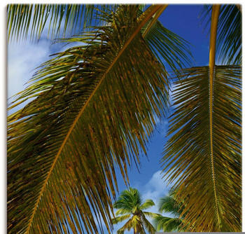 Art-Land Palmenstrand, Insel Isla Saona 60x90cm (54588417-0)
