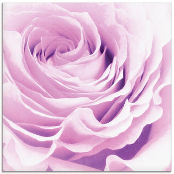 Art-Land Pastell Rose 20x20cm (55624453-0)