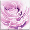 Artland Glasbild »Pastell Rose«, Blumen, (1 St.), in verschiedenen Größen