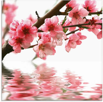 Art-Land Pfirsichblüten reflektieren im Wasser 20x20cm (63769417-0)