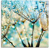 Artland Wandbild »Pusteblume Blaue Diamanten«, Blumen, (1 St.), als Alubild,