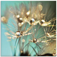 Artland Glasbild "Pusteblume gl&auml;nzendes Gold" Blumen 1 Stk. tlg. in...