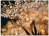Artland Wandbild »Pusteblume Goldschimmer«, Blumen, (1 St.), als Alubild,