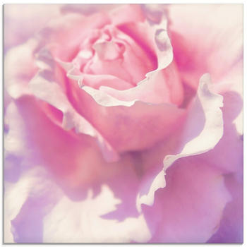 Art-Land Rosa 50x50cm (36465817-0)