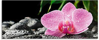 Artland Glasbild "Rosa Orchidee auf schwarzen Zen Steinen" Blumen 1 Stk. tlg. in