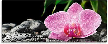 Art-Land Rosa Orchidee auf schwarzen Zen Steinen 125x50cm (53641465-0)