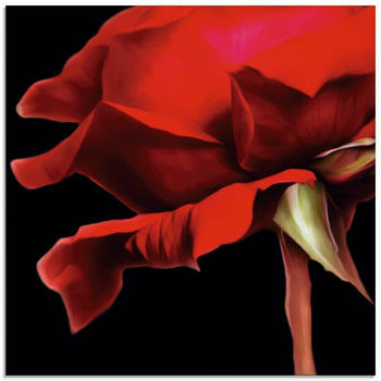 Art-Land Rote Rose 50x50cm (19351047-0)
