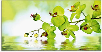 Art-Land Schöne Orchidee mit grünem Hintergrund 100x50cm (16192711-0)