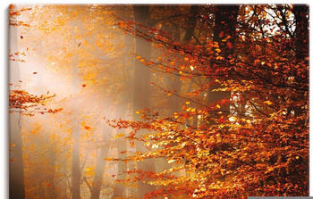 Art-Land Sonnenaufgang im Herbst 60x90cm (93180811-0)
