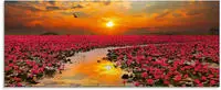 Artland Glasbild "Sonnenschein bl&uuml;hende Lotusblume" Blumen 1 Stk. tlg. in