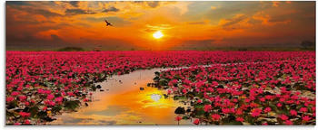 Art-Land Sonnenschein blühende Lotusblume 125x50cm (16400355-0)