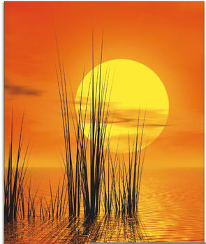 Art-Land Sonnenuntergang mit Schilf 60x80cm (30782447-0)
